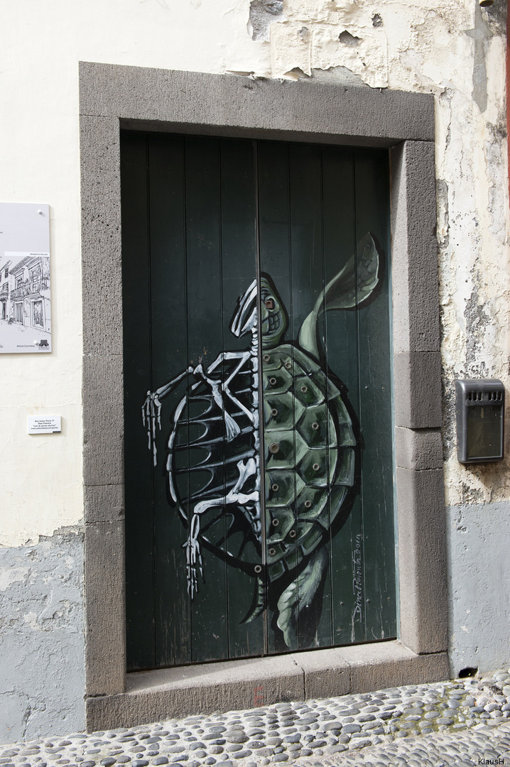 ~ Doors of Funchal XI ~