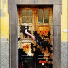 Doors of Madeira 14