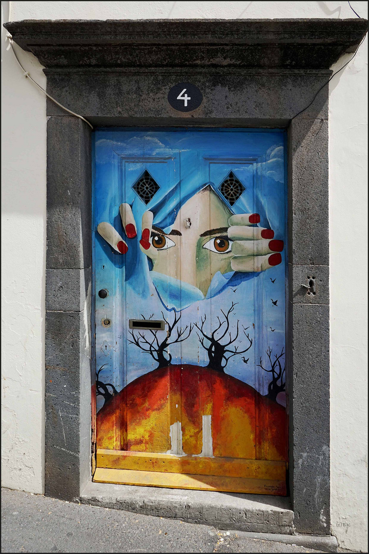 Doors of Madeira 48