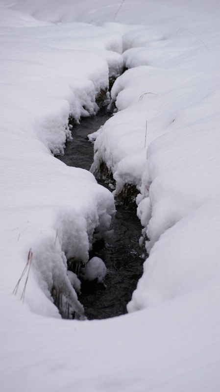 Doost im Winter (13.02.2009) 04