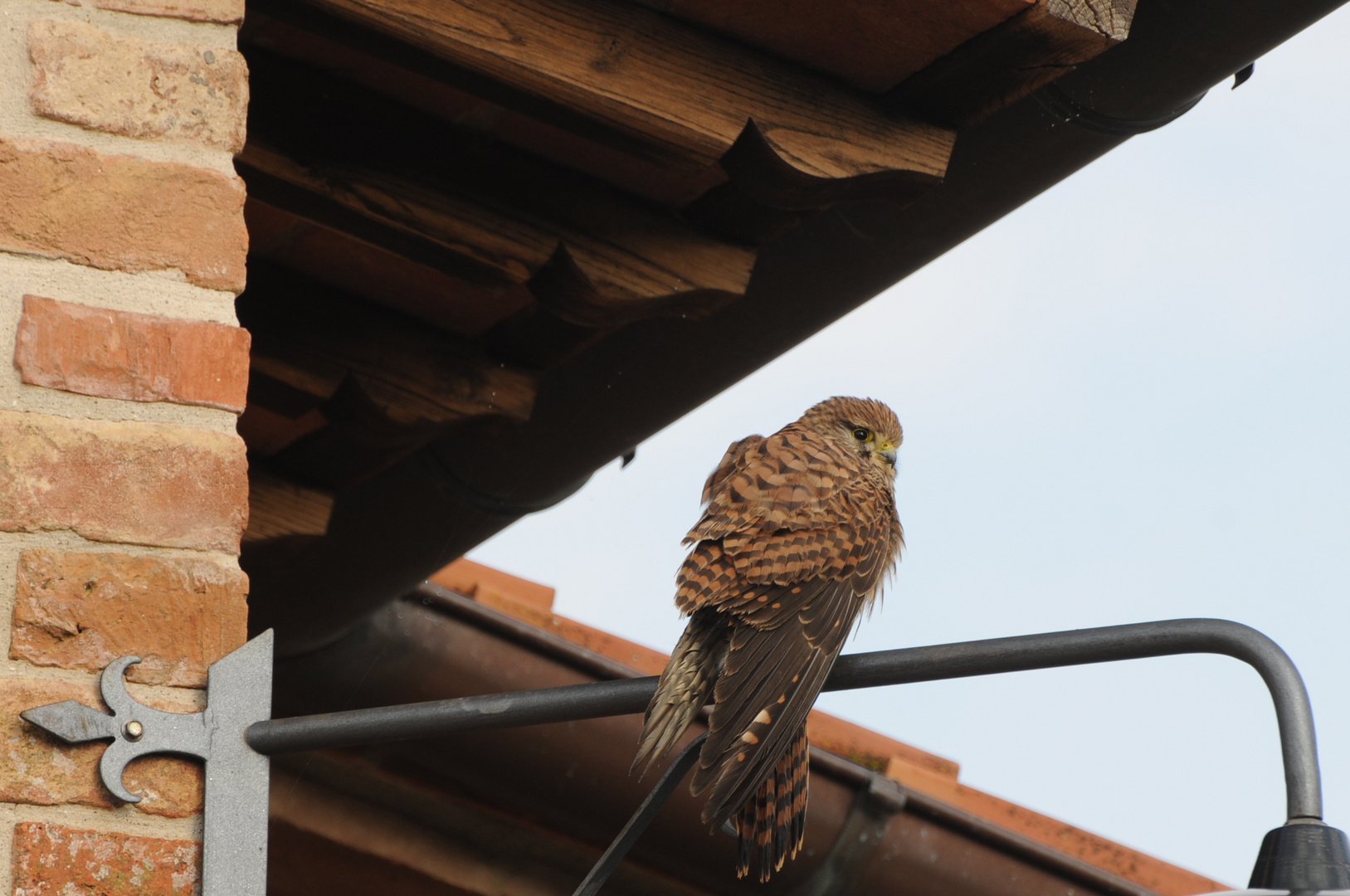 Dopo il bagnetto