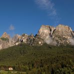 Dopo il bosco