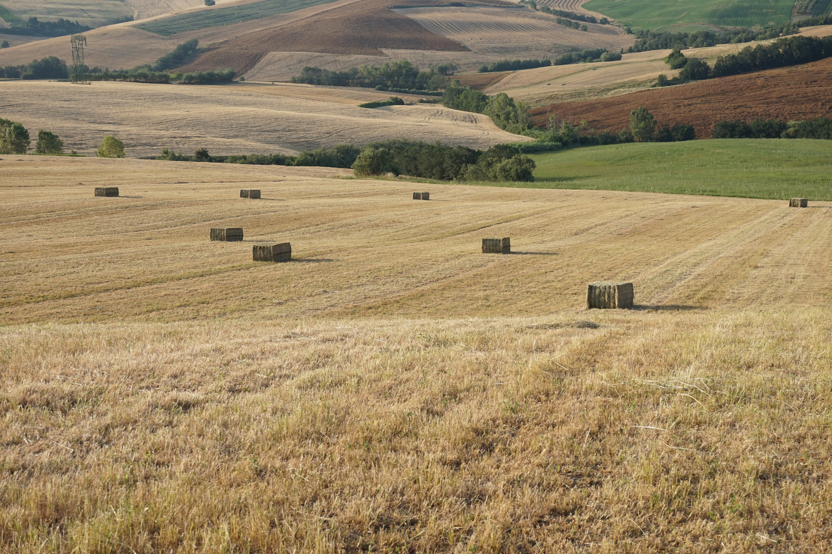 DOPO IL GRANO 1 ...