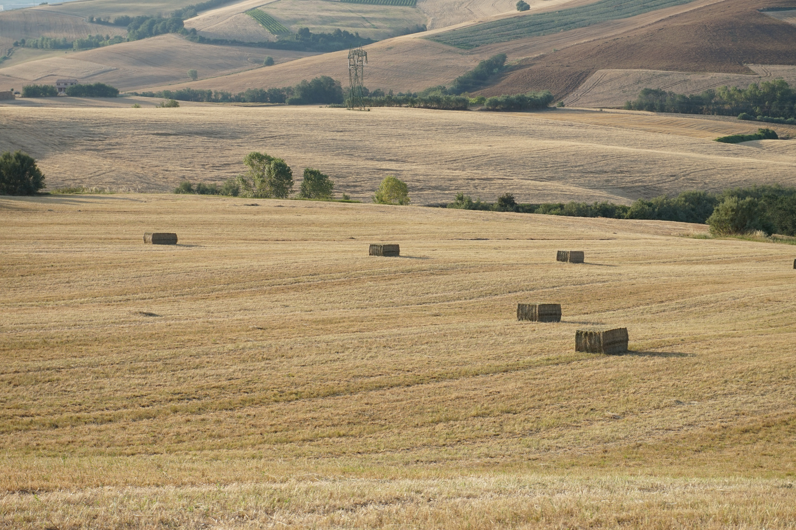 DOPO IL GRANO 2 ...