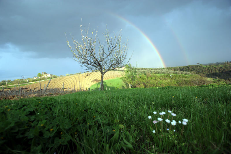 Dopo il temporale