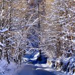 Dopo la nevicata