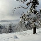 Dopo la nevicata