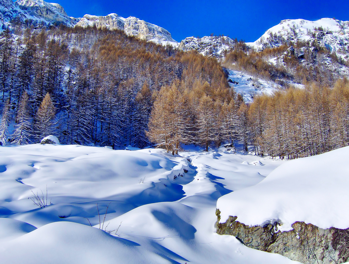 Dopo la nevicata