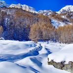 Dopo la nevicata