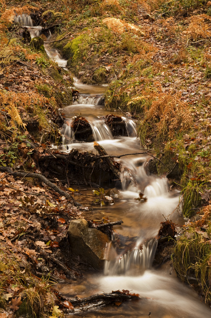 Dopo un piovoso pomeriggio d'autunno 