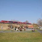 Doppel-Desiro am Verkehrsübungsplatz in Buchen