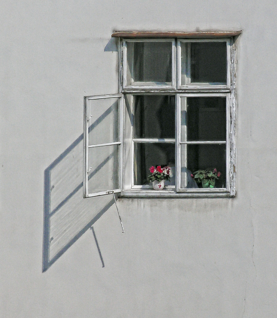 Doppel - Fenster mit 2 Blumentöpfen