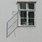 Doppel - Fenster mit 2 Blumentöpfen