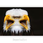 doppeladler