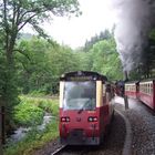 Doppelausfahrt am 21.7.2007 aus Eisfelder Talmühle