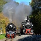 Doppelausfahrt aus Alexisbad