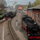 Doppelausfahrt der Zittauer Schmalspurbahn ins Gebirge