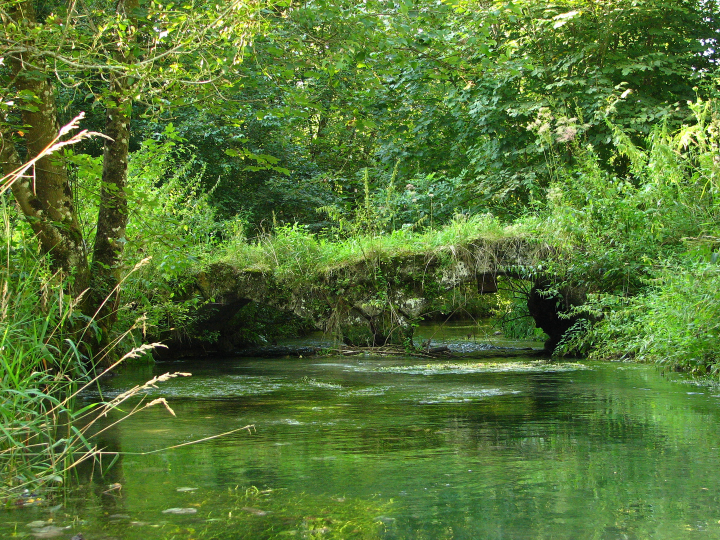 Doppelbogenbrücke