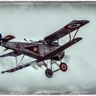Doppeldecker  Nieuport 17