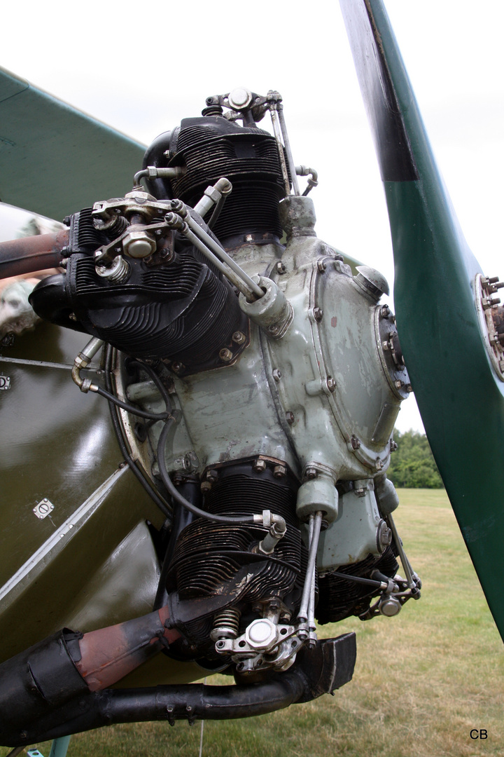 Doppeldecker Polikarpov PA 2 1952