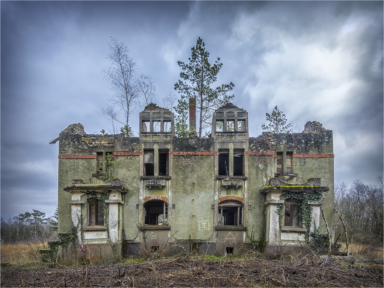 doppelhaus in ruhiger waldrandlage