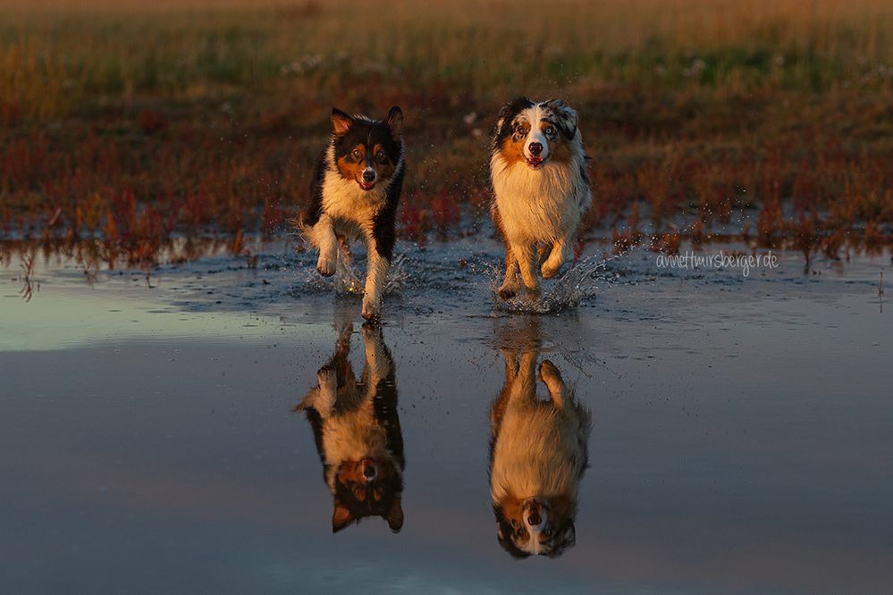 Doppelpack hoch 2