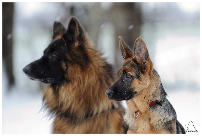 Doppelportrait