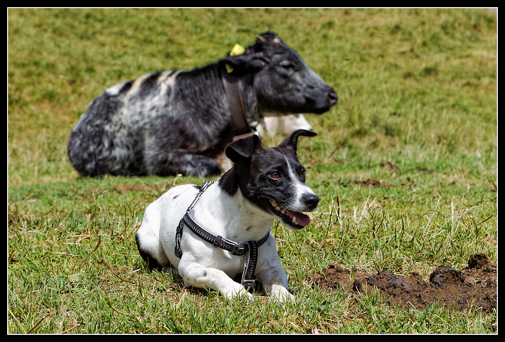 Doppelportrait