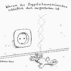 Doppelschwanzmännchen