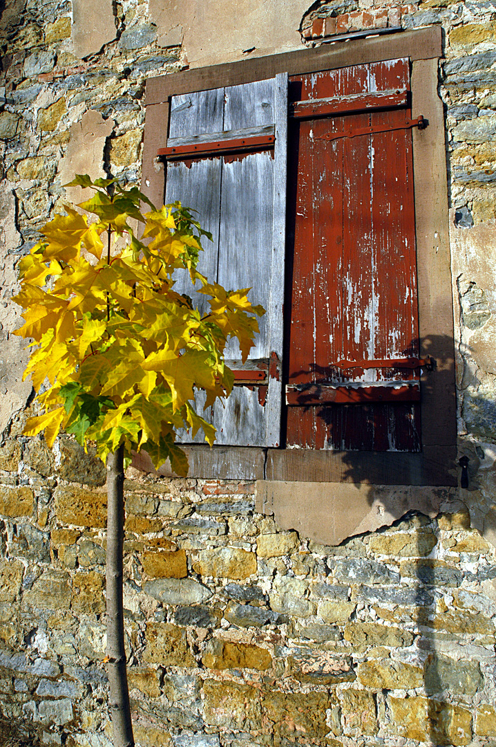 doppelsinniger Herbst