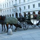 Doppelspännige Kutsche vor Hofburg, Wien