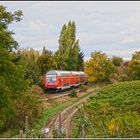 Doppelstöckig durch Rheinhessen