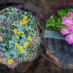 Doppelt durch die Röhre geguckt 