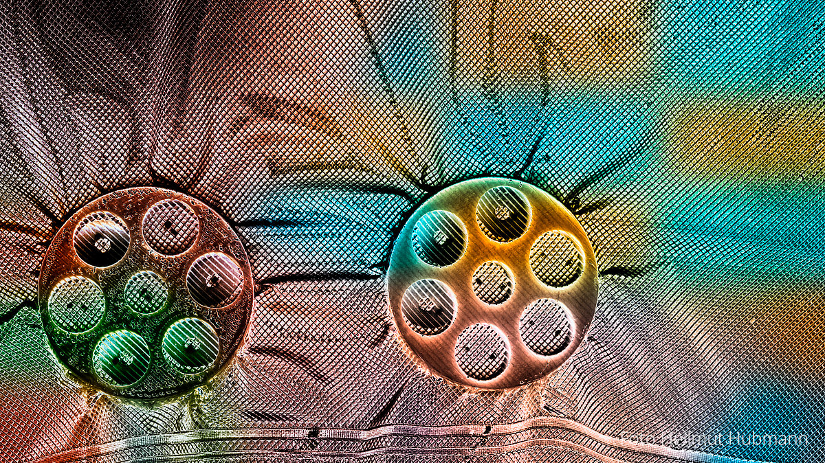 DOPPELT