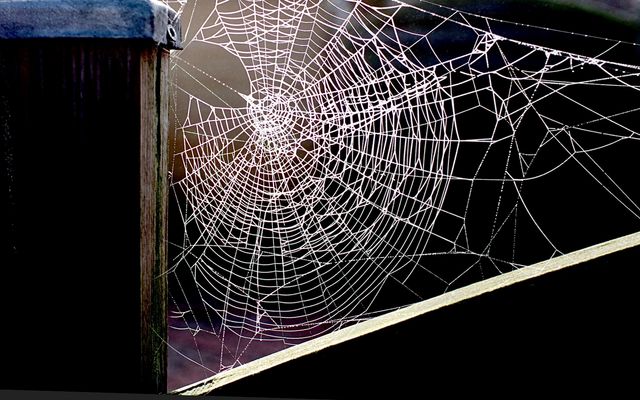 Doppelt gemoppelt…