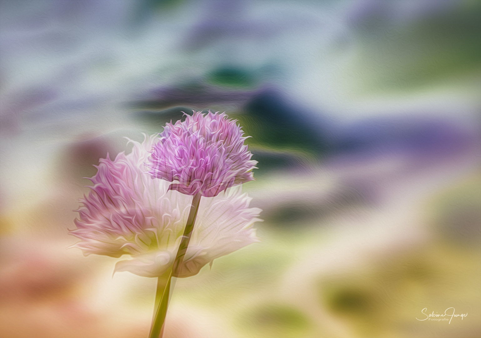 Doppelt hält besser