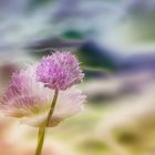 Doppelt hält besser