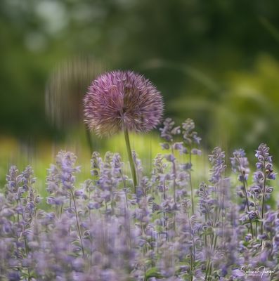 Doppelt hält besser! ;-)