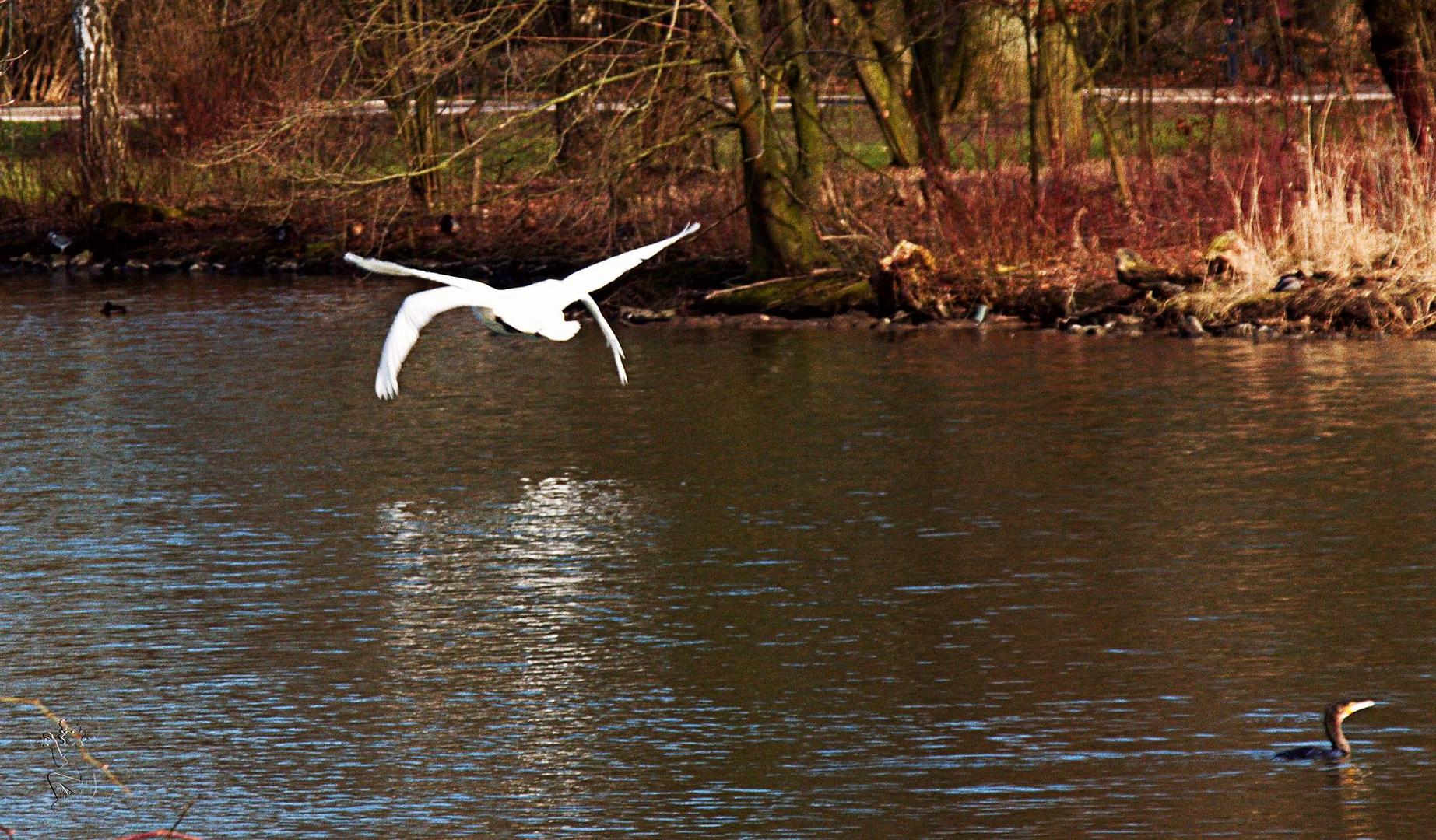 Doppelt ....hält...ähhh ...fliegt besser!