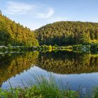 Doppelt - Neudahner Weiher, Pfalz