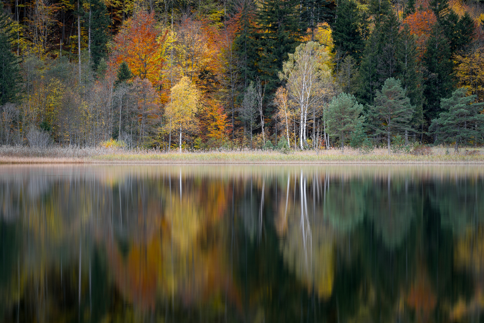 Doppelte Herbstfarben