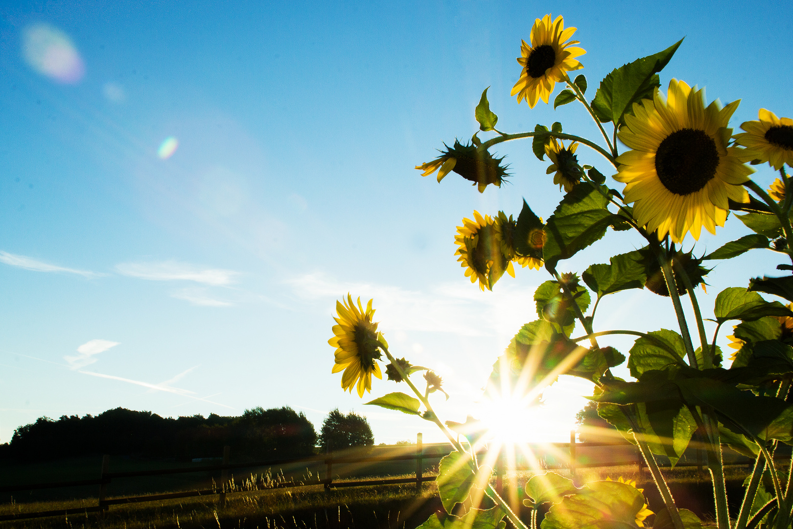 doppelte Herbstsonne