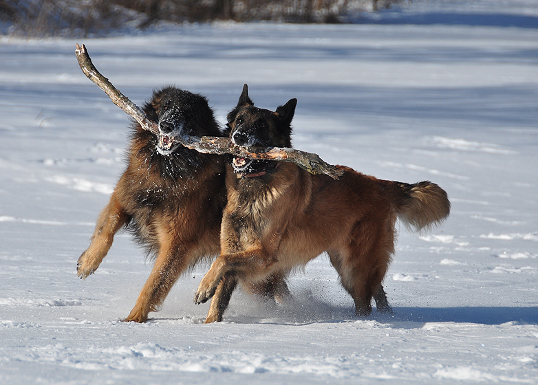 Doppelte Power