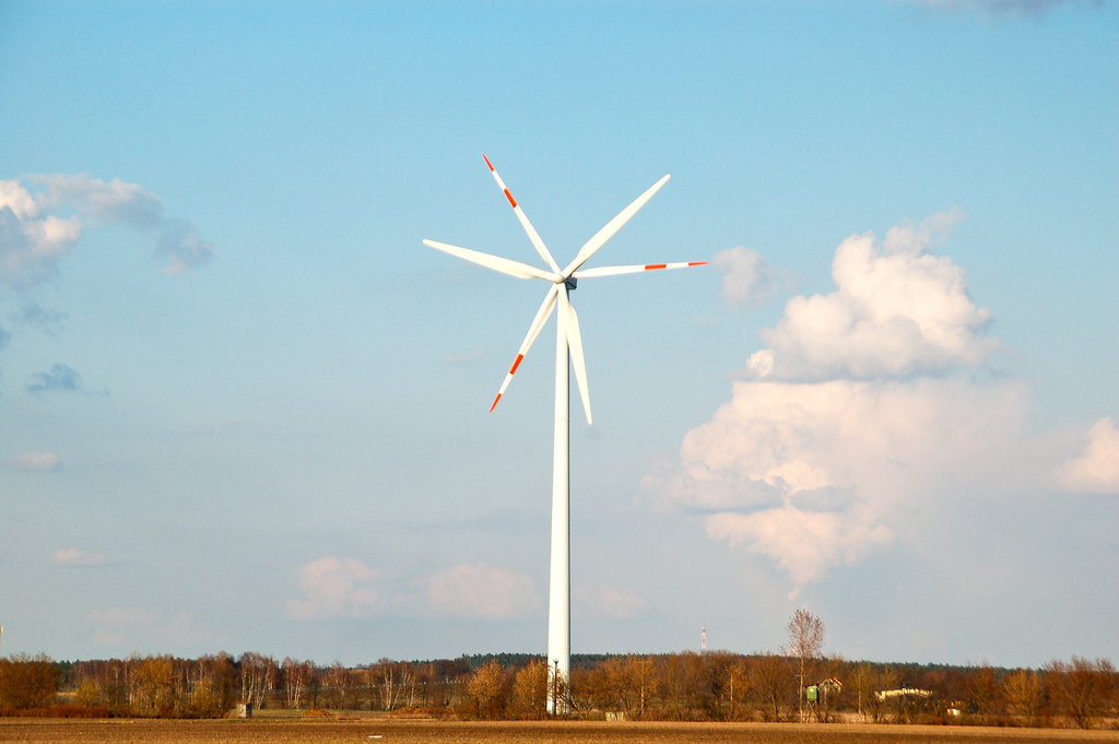 Doppelte Windkraft