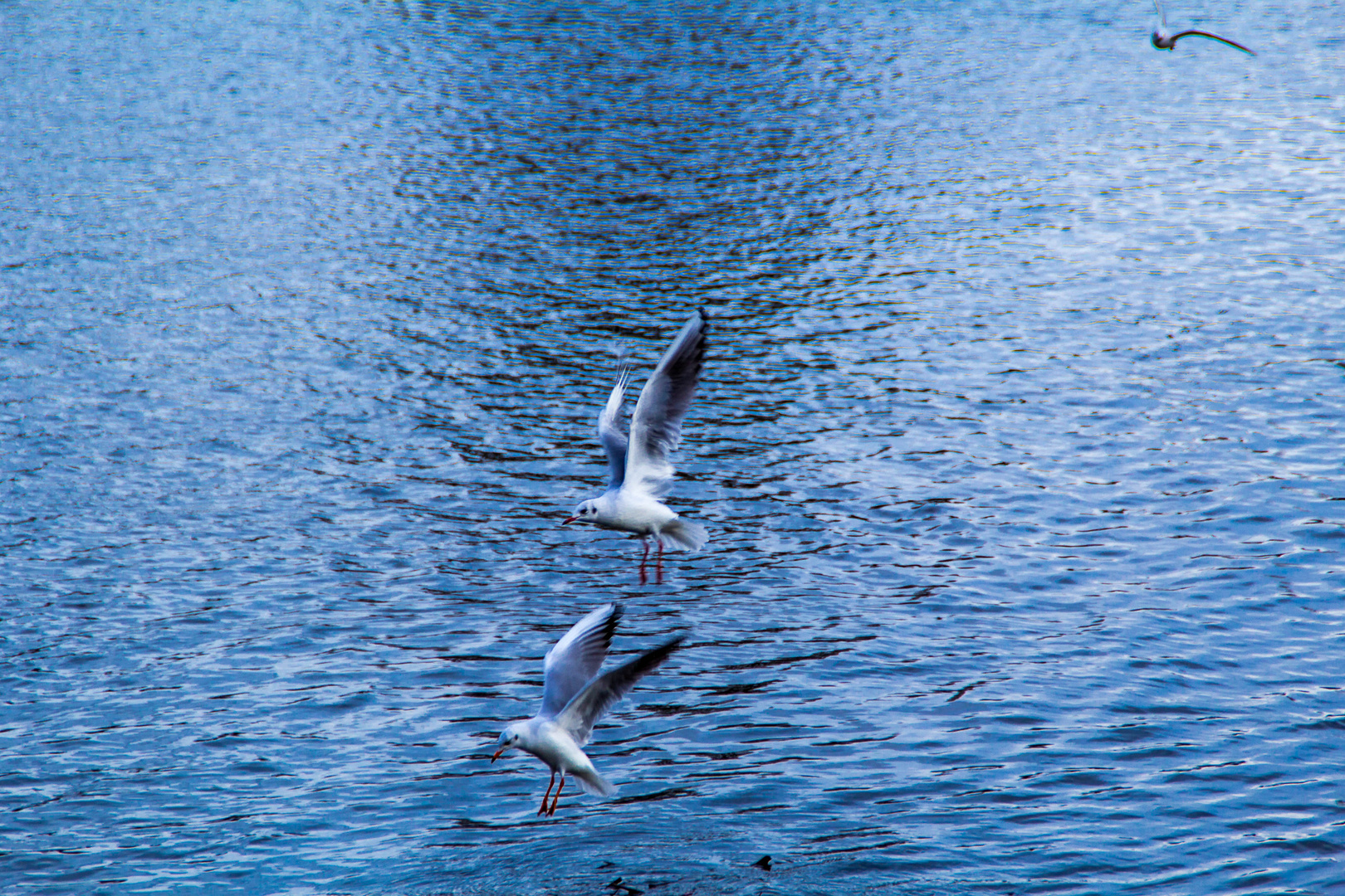 Doppelter Anflug