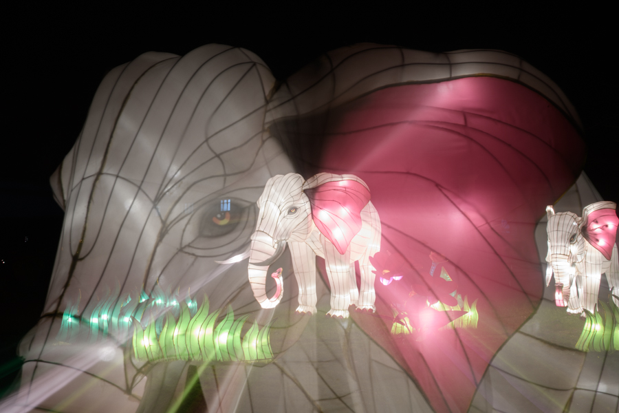 Doppelter Elephant auf China Light Show