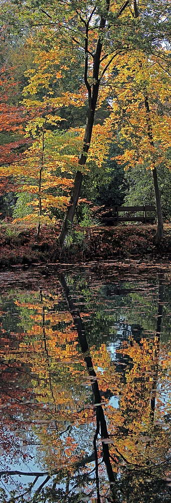 Doppelter Herbst