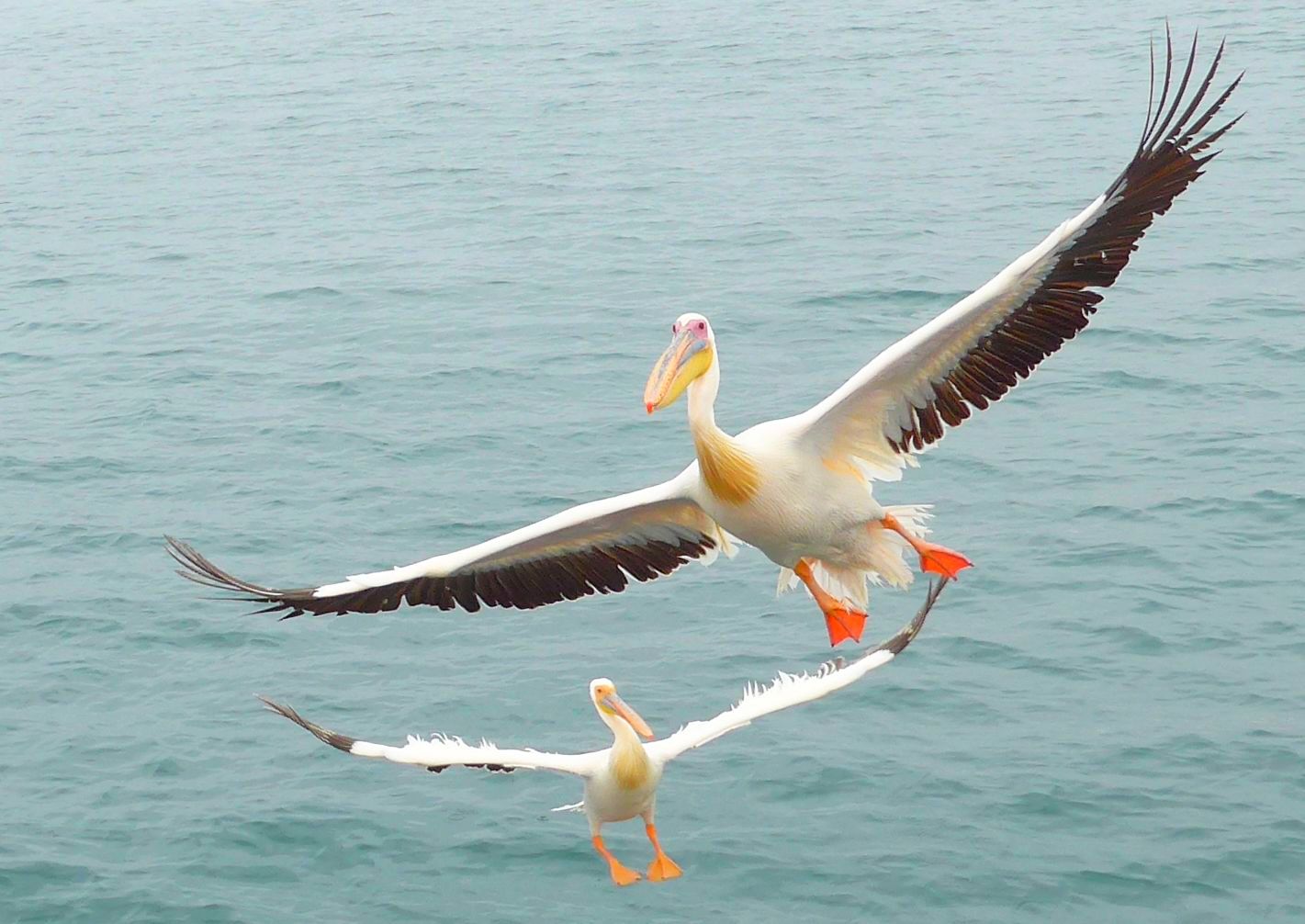 doppelter Landeanflug