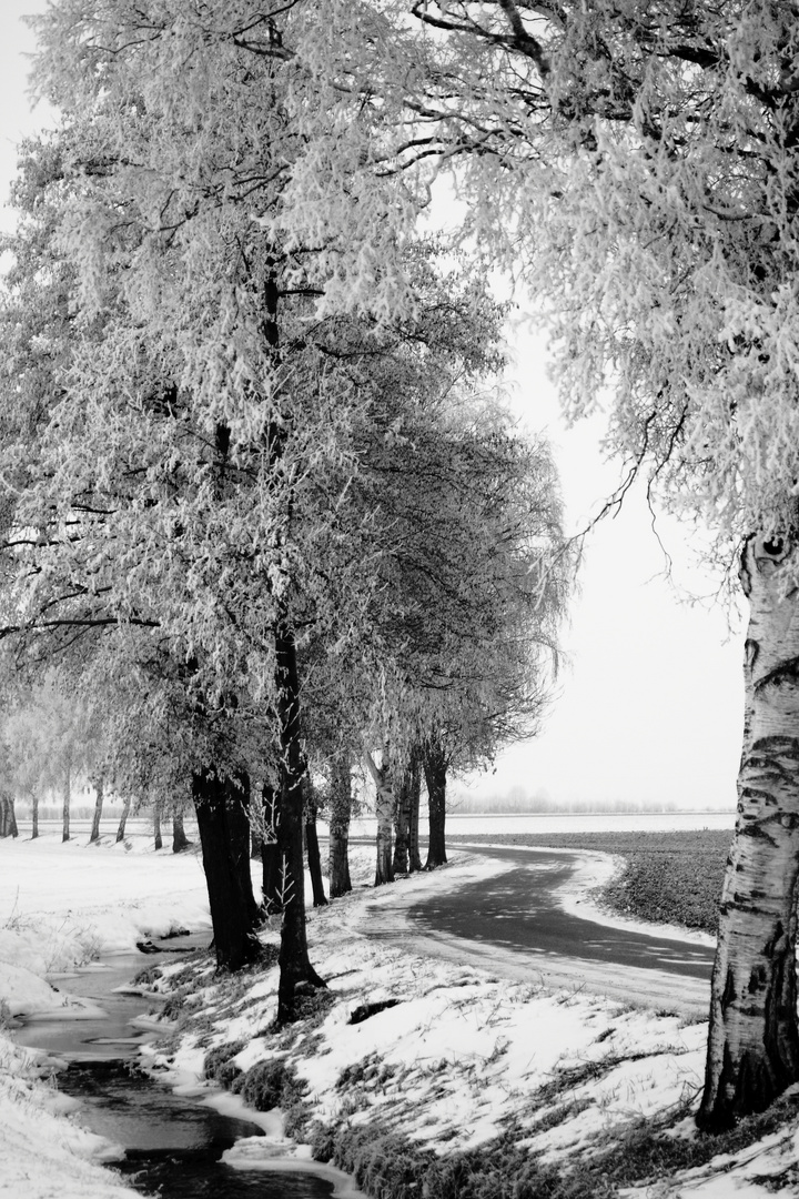 &amp;quot;Doppelter Parallelschwung&amp;quot; Foto &amp; Bild | jahreszeiten, winter, natur ...