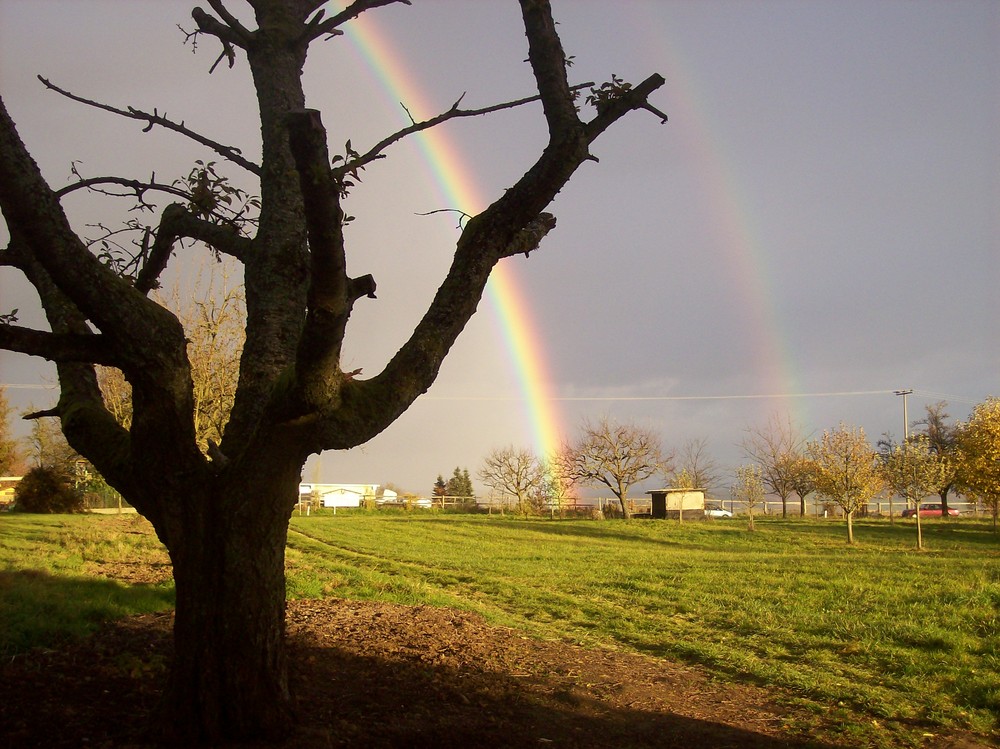 Doppelter Regenbogen